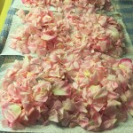 rose petals (2)